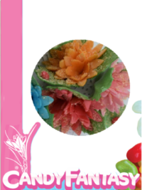 flor-de-navidad-el-paraiso-delas-especias