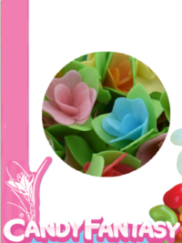 flor-oblea-cactus-el-paraiso-de-las-especias