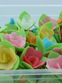 flor oblea cactus comestible 3-min