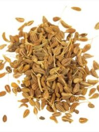 anis- grano-el-paraiso-de-las-especias