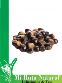 infusion-guarana-mi-ruta-natural