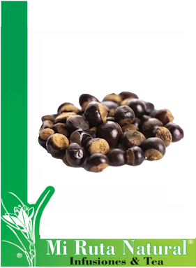 infusion-guarana-mi-ruta-natural infusion-guarana-mi-ruta-natural