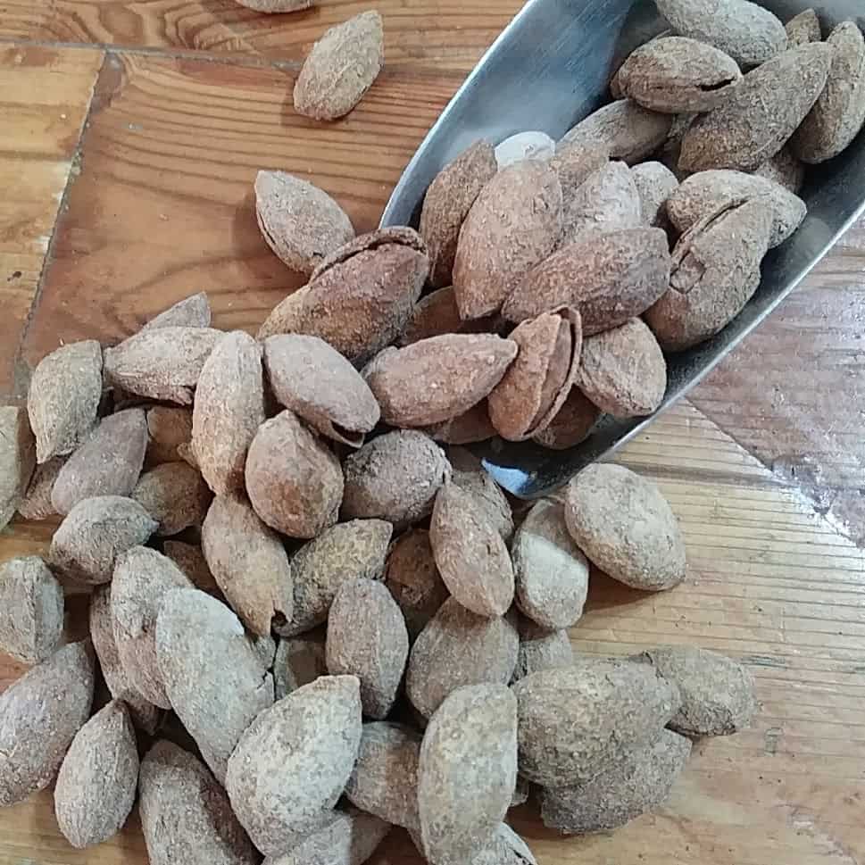 almendruco2-min almendruco