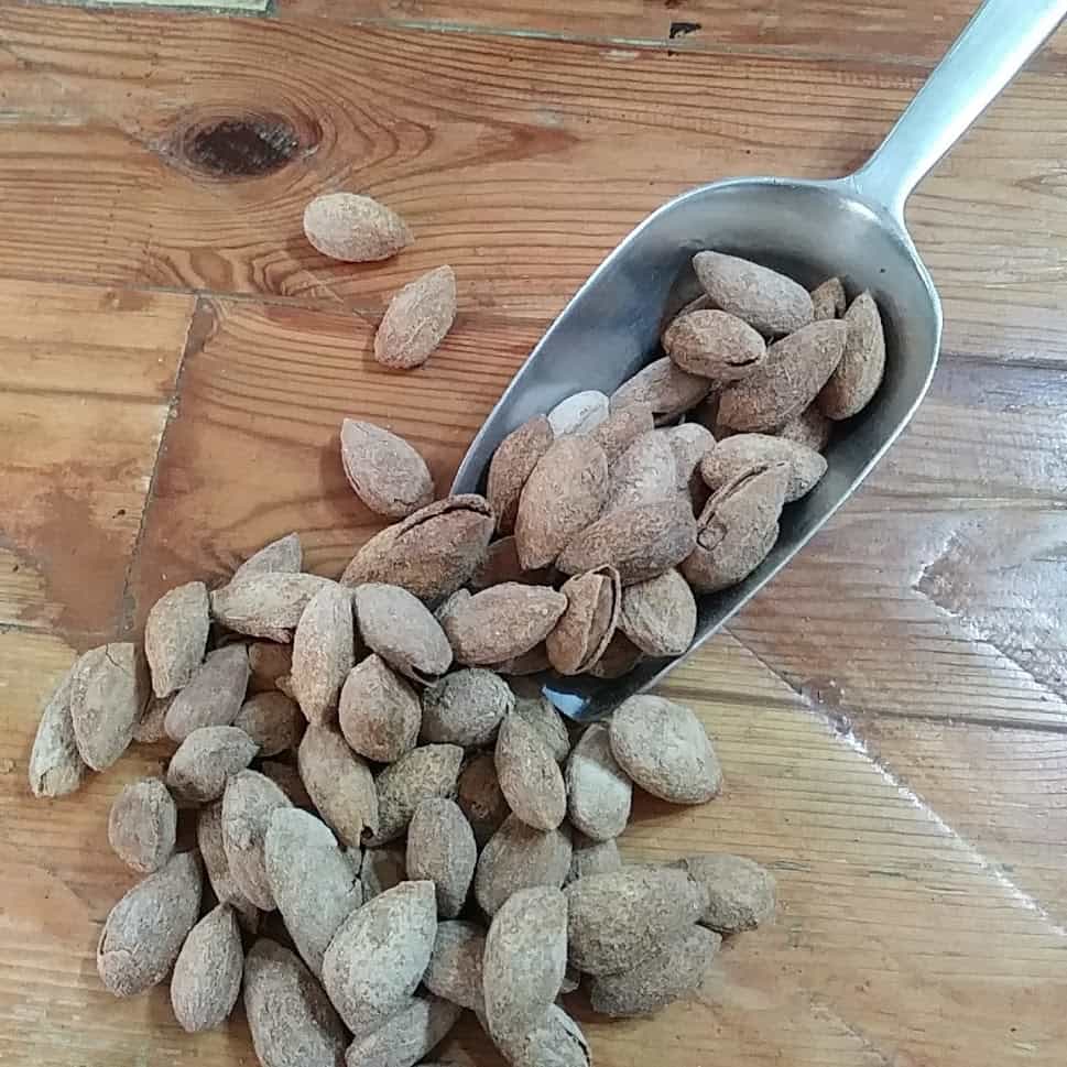 almendruco3-min