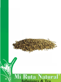 cardo- maria-mi-ruta-natural