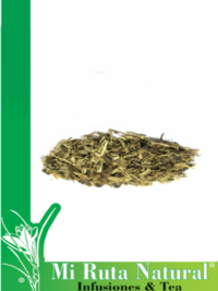 equinacea-mi-ruta-natural