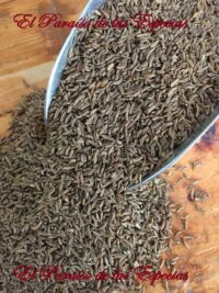 hinojo infusion