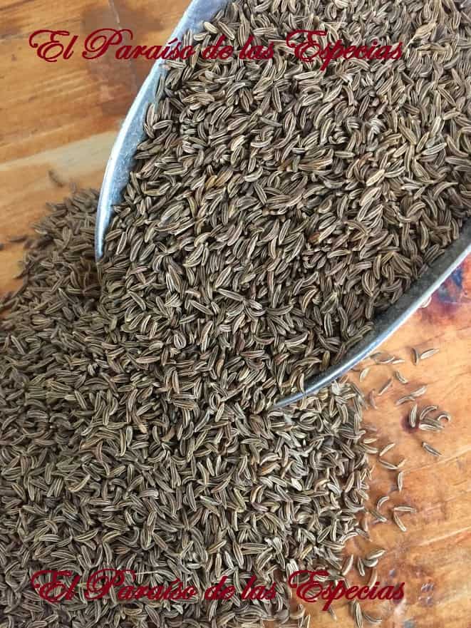 hinojo 2-min hinojo infusion