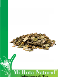 moringa-mi-ruta-natural