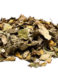 moringa-mi-ruta-natural
