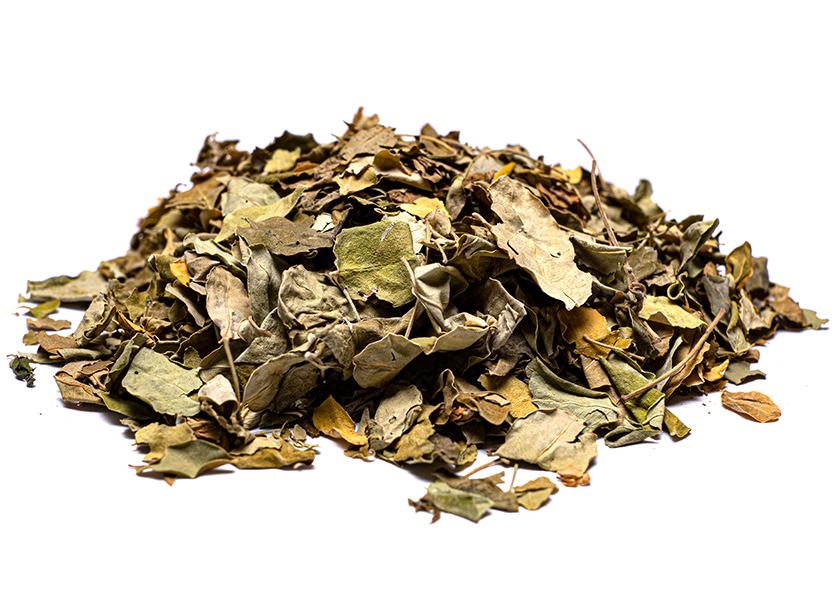 moringa-mi-ruta-natural moringa-mi-ruta-natural