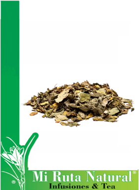 moringa-mi-ruta-natural moringa-mi-ruta-natural