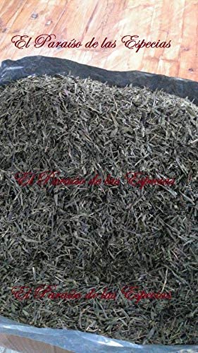 te verde sencha 3