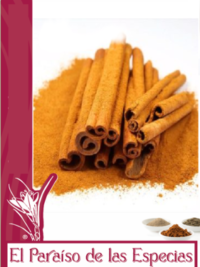 canela -polvo-el-paraiso-de-las-especias