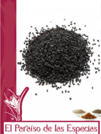 vcomino- negro- nigella-el-paraiso-de-las-especias