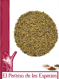 pimienta-verde-el-paraiso-de-las-especias