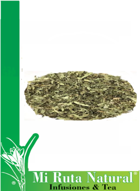 stevia- cortada-mi-ruta-natural stevia- cortada-mi-ruta-natural