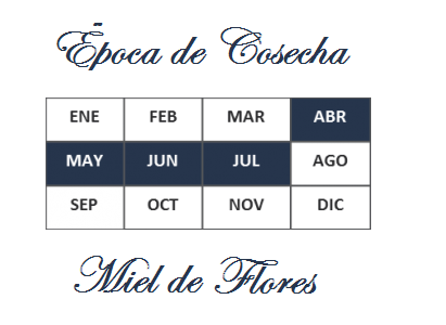mil flores
