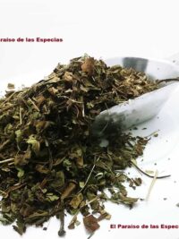 pulmonaria