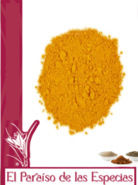curcuma- molida-el-paraiso-de-las-especias