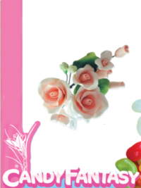 flor-azucar-salmon-el-paraiso-de-las-especias