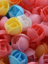 Flor de Oblea Comestible