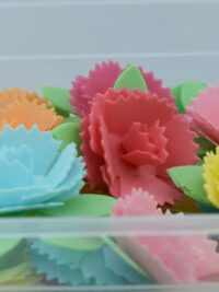 Flor de Clavel Oblea Comestible
