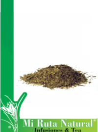 ginkgo-biloba-el-paraiso-de-las-especias