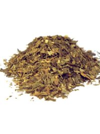 ginkgo-biloba-el-paraiso-de-las-especias