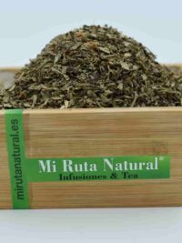 Albahaca El Paraiso de las Especias