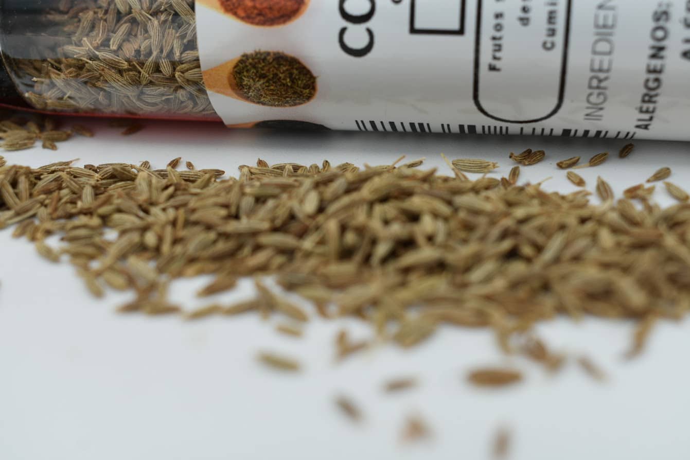 COMINO GRANO- El Paraíso de las Especias