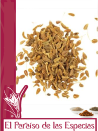 anis-grano-el-paraiso-de-las-especias