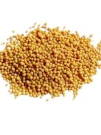 mostaza-amarilla-grano-el-paraiso-de-las-especias