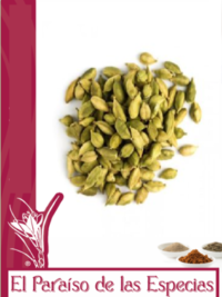 cardamomo-el-paraiso-de-las-especias