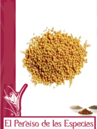 mostaza-amarilla-grano-el-paraiso-de-las-especias