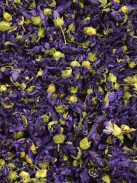 malva-flor-mi-ruta-natural